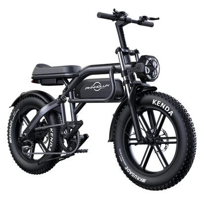 PHNHOLUN C8 Electric Bike, 1500W Peak Motor, 48V 20Ah Battery, 20*4.0-inch Fat Tires, 50km/h Max Speed, 120km Max Range, Front Hydraulic Shock, Rear Air Shock Suspension, Shimano 7 Speed, Disc Brake, APP Control