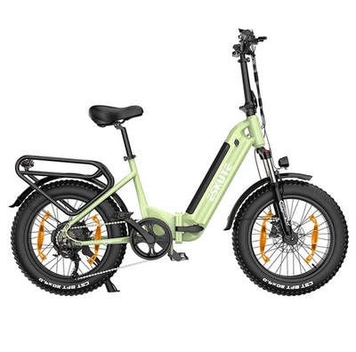 ESKUTE ES-20-LJXD Electric Bike, 250W Motor, 36V 25Ah Battery, 20*4.0 Inch CST Tire, 25km/h Max Speed, 120km Range, Hydraulic Disc Brake, Shimano 7-Speed, LCD Display - Green