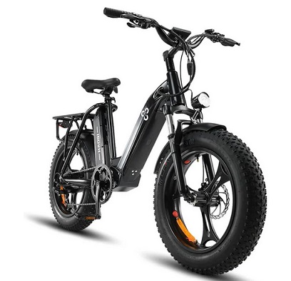 HAOQI Antelope Cargo Electric Bike Peak 750W Motor Ebike 48V 25AH Removable Battery Up to 85 Miles 20\