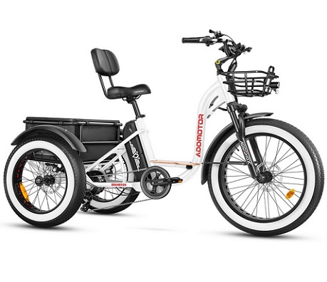 ADDMOTOR Grandtan II Electric Tricycle for Adults, 750W Rear Motor Electric Trike, 85Miles 48V 20AH, 450lbs, Fat Tire 3 Wheel Electric Bike for Seniors, Step-Thru Etrike, Differential, Parking Brake