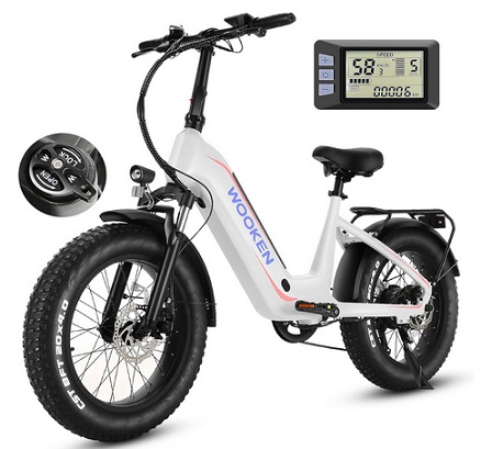 Wooken Electric Dirt Mountain Bike for Adults, Peak 1025W Motor Ebike, 20\