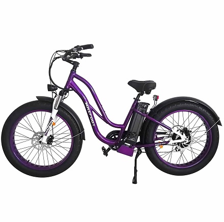 Maxfoot MF-17 P 750W 13AH Electric Bicycle Removable Battery 26\