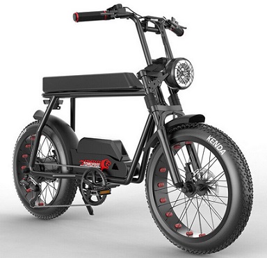 Tomofree FG20 Electric Bike 20\