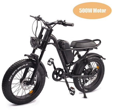 IENYRID IM-J1 Electric Bike 20\