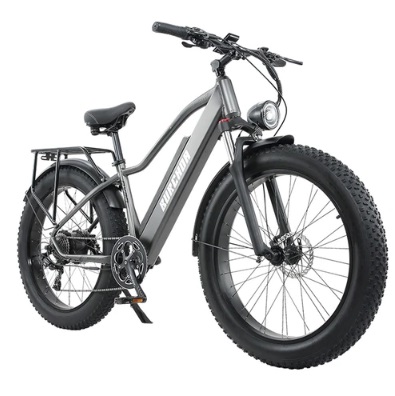 BURCHDA RX20 26*4.0 Inch All-terrain Fat Tire Electric Bike 800W Motor 45Km/h Max Speed, 48V 18Ah Battery, Shimano 8-speed