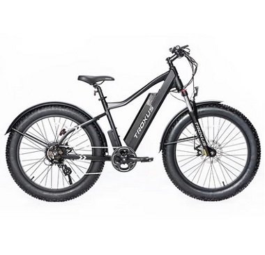 Troxus Vulcanus Electric Bike 26*4.0 Inch Fat Tire 750W Motor 42Km/h Speed 48V 16Ah Samsung Battery 7-Speed Shimano GearRoad Snow Mountain Bike