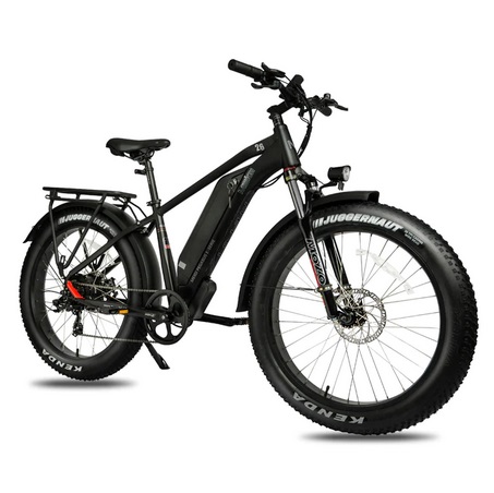 DWMEIGI Pegasus 48V 750W Fat Tire Electric Bike 38 Miles Range 25mph Max Speed