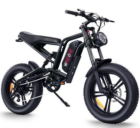 Windone E2 Electric Bike for Adults,750W Ebike with 48V13Ah Removable Battery,All-Terrain 20\