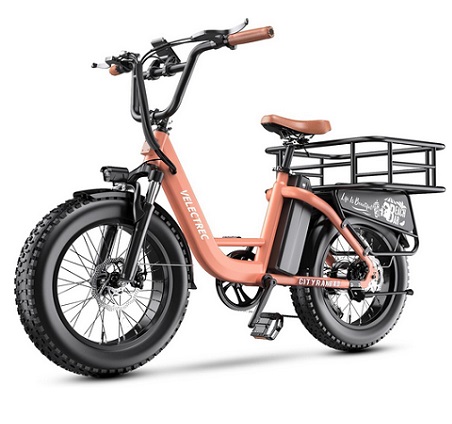 EUY Velectrec Cityrang 4.0 1500W Peak Electric Bike 48V 20Ah Removable Battery Max Range 80Miles & 30MPH Electric Bicycle, 20\'\'×4.0\