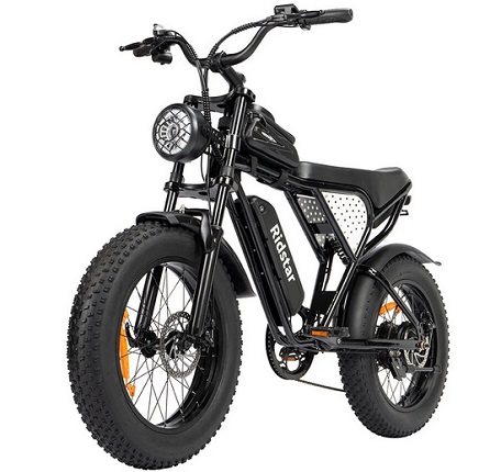 Ridstar Q20 Mini Electric Bike 48V 15AH Battery 1000W Motor 20inch Tires 60-80KM Max Mileage 150KG Max Load Electric Bicycle