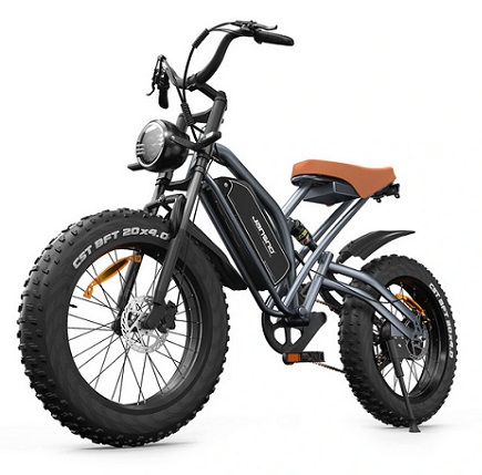 JANSNO X50 Electric Bicycle 48V 14Ah 750W 20inch Tires 50KM Max Mileage 120KG Max Load Electric Bike