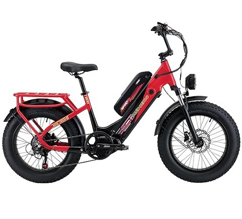 YinZhiBoo Y800 Electric Bike for Adults,750W BAFANG Motor Ebike,20\