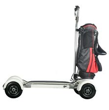 CE Electric Skateboard Off Road Golf Cart Scooter Caddy Board Vehicle 1000w/60V