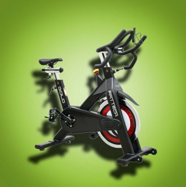 Ffittech Spin Bike Gold ARP Home gym spinning bike 21KG wheel up to 130Kg