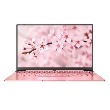 Daysky V14S 14.1 inch Laptop Intel Celeron N5095 12GB LPDDR4 256G SSD 1080P FHD with Backlight Windows 10 - Pink