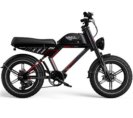G-Force ZM Electric Bike with 750W Motor,20\