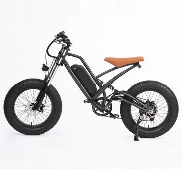 20in Traveling electric assisted bicycle 48v750w motor 624wh lithium battery Double shock Beach snow fat electric bicycle - BROWN