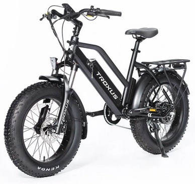 Troxus SkyHopper Electric Bike 20*4.0 Inch Fat Tire 750W Brushless Motor 42Km/h Speed 48V 12.8Ah Samsung Battery Up to 40 Miles Range Shimano 7-Speed