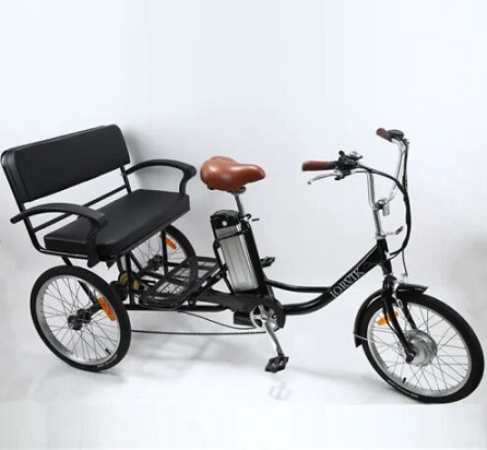 Three Wheel 250w/36v Shimano Electric Tricycle Pedicab Rigshaw Ebike Bicycle