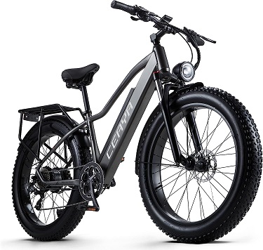 CEAYA RX20 Electric Bike For Adults,48V 18AH Removable Massive Battery,26\