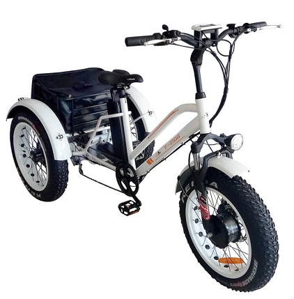 BPM T-950a TRICYCLE 750W Motor 13AH 48V Battery 20\
