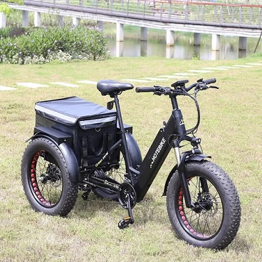 Three Wheel 7 Speed 20in Fat Tire 750w/48v 15.6ah Battery Electric Tricycle Ebike Bicycle