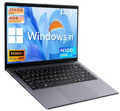 CHUWI GemiBook XPro 14.1\'\' Laptop, Intel 12th Gen N100(up to 3.4GHz),256GB SSD 8GB LPDDR5, Windows 11 Laptop Computer, 1920X1080 FHD Display, WiFi 6,BT5.2,HDMI,Type-C,2MP Camera,5000mAh,1TB SSD Expand